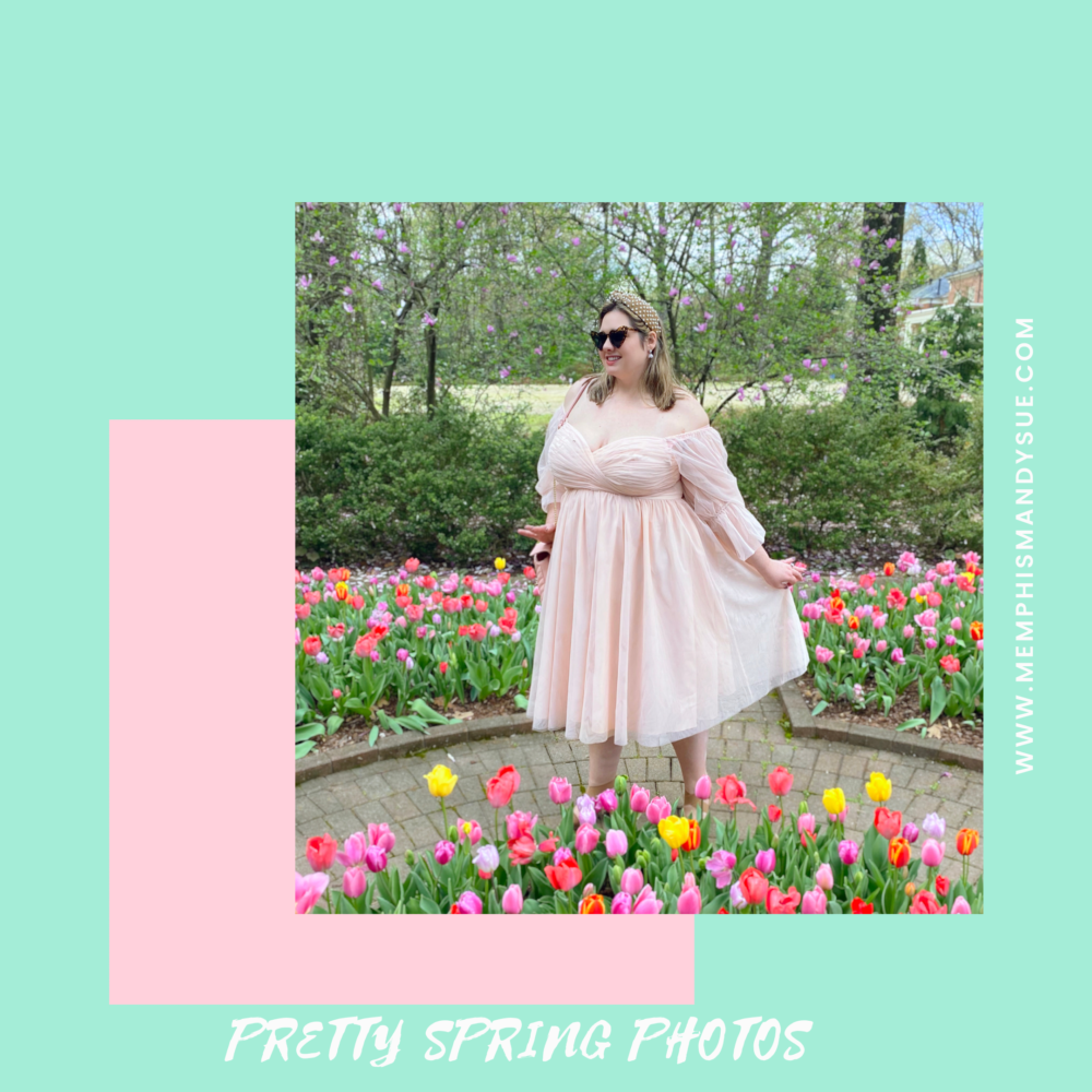 Pretty Spring Photos